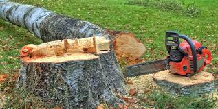 Best Hazardous Tree Removal  in Center Point, NM