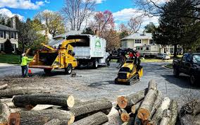 Best Lawn Renovation and Restoration  in Center Point, NM