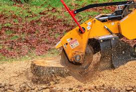 Best Lawn Grading and Leveling  in Center Point, NM